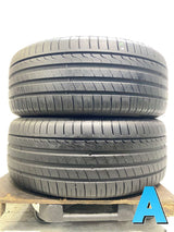 MINERVA RADIAL F205 255/45R19 2本