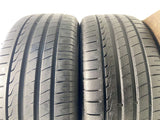MINERVA RADIAL F205 255/45R19 2本