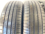 グッドイヤー エフィシエント グリップ RVF02 195/65R15 2本
