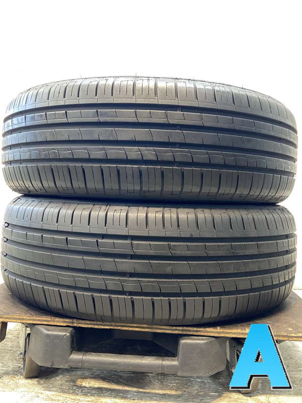 MINERVA RADIAL F209 205/60R16  2本